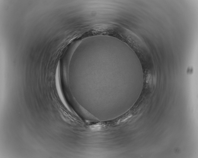 X0000092080868200709121442