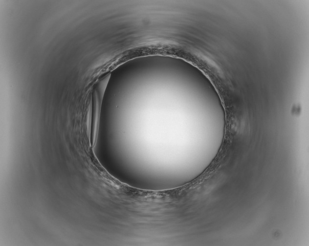 X0000092080869200709121442