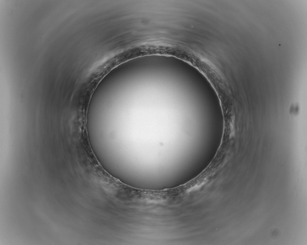 X0000092080870200709121442