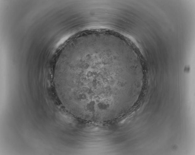 X0000092080871200709121442