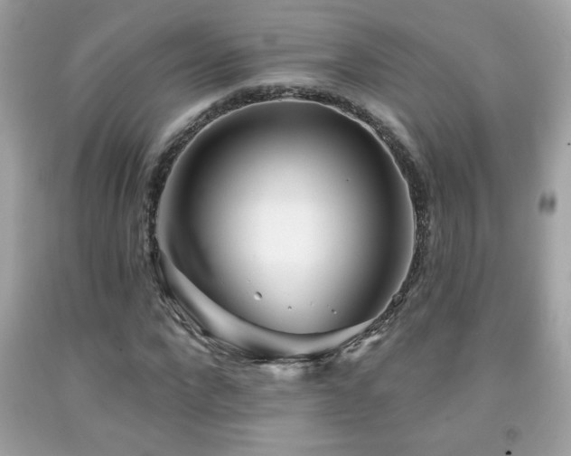 X0000092080872200709121442