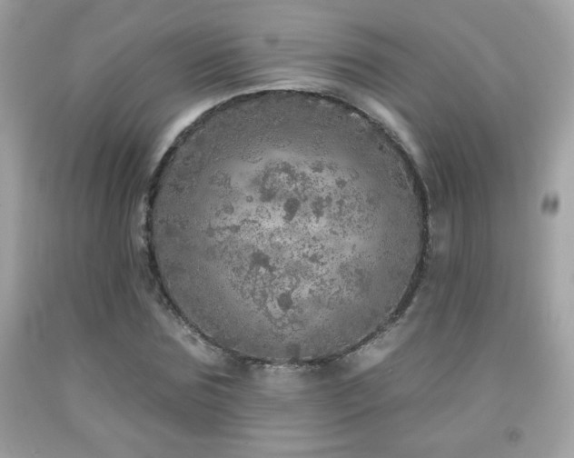 X0000092080875200709121442