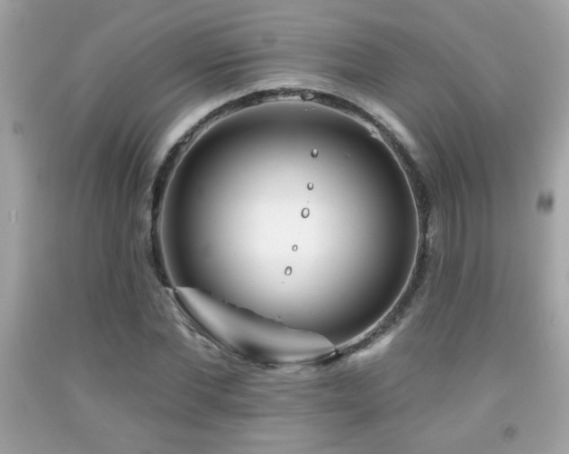 X0000092080877200709121442