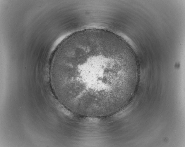 X0000092080878200709121442