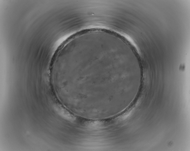 X0000092080879200709121442