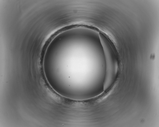 X0000092080880200709121442