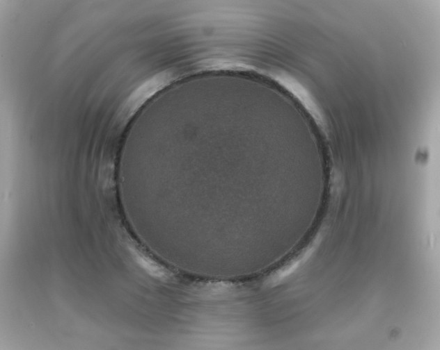 X0000092080881200709121442