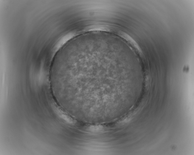 X0000092080882200709121442