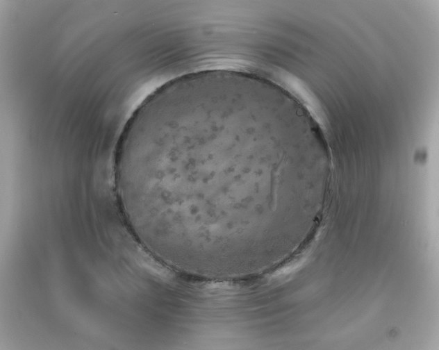 X0000092080883200709121442