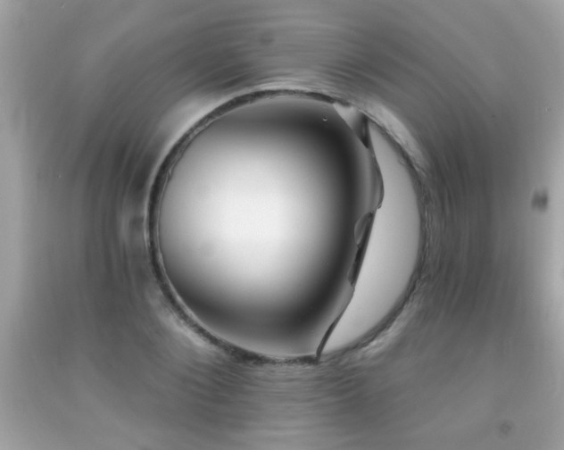 X0000092080884200709121442