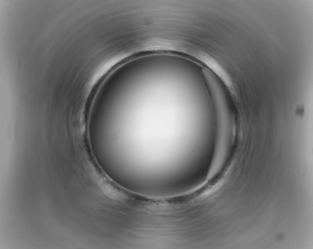 X0000092080885200709121442