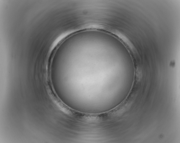 X0000092080886200709121442