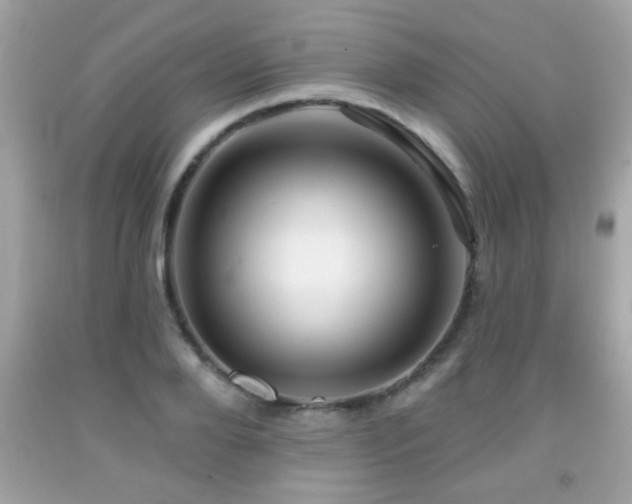 X0000092080888200709121442