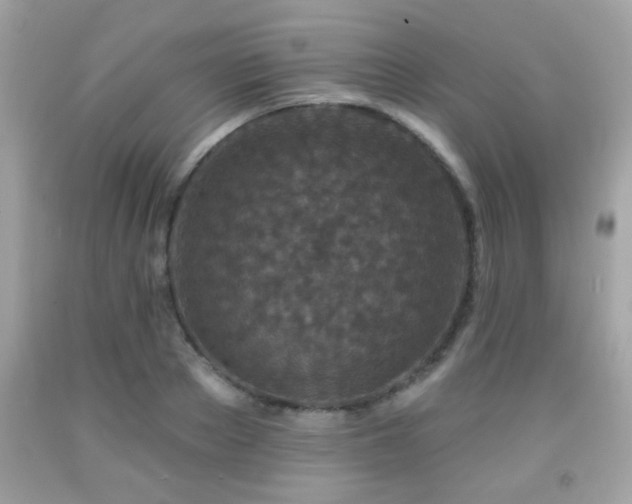 X0000092080889200709121442