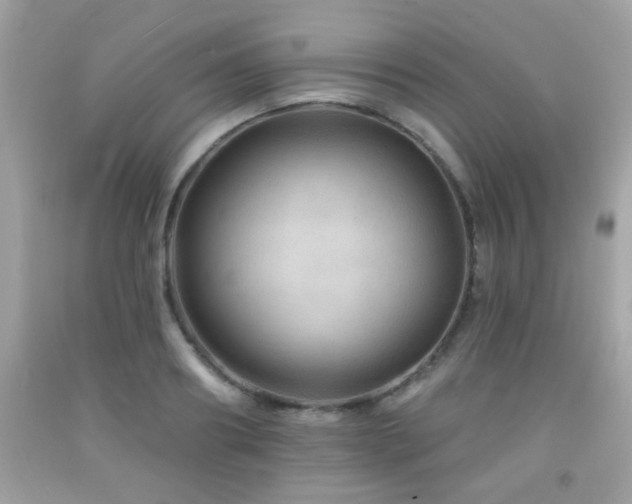 X0000092080890200709121442