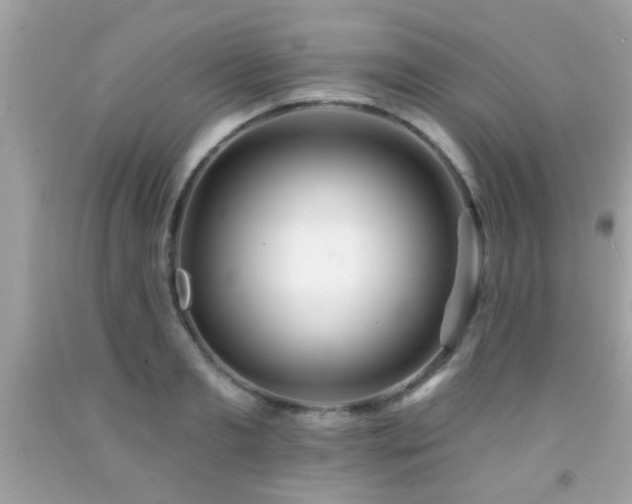 X0000092080893200709121442