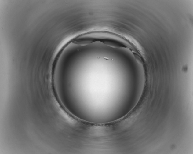 X0000092080894200709121442