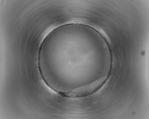 X0000092080896200709121442