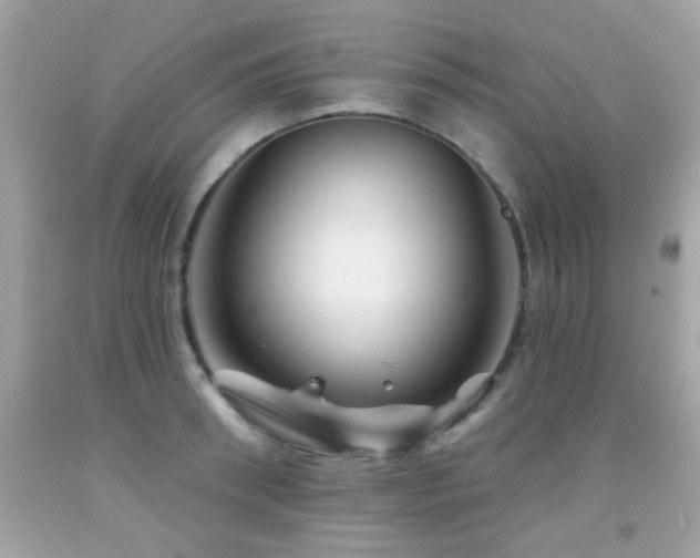 X0000092080898200709121442