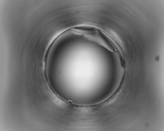 X0000092080900200709121442