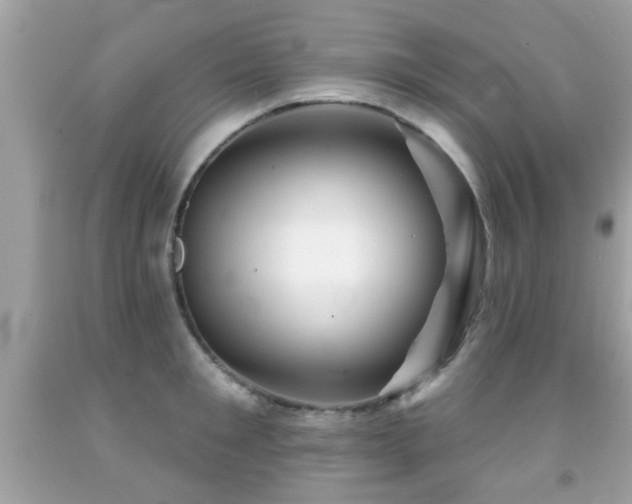 X0000092080901200709121442