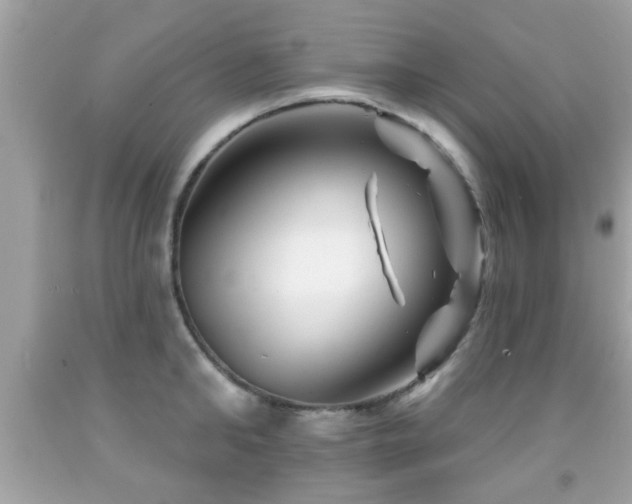 X0000092080902200709121442