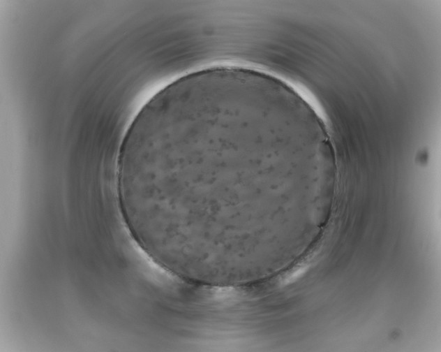 X0000092080903200709121442