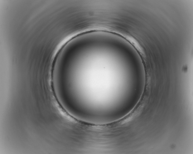 X0000092080904200709121442