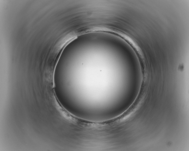 X0000092080905200709121442