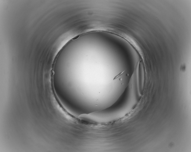 X0000092080906200709121442