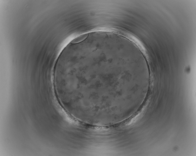 X0000092080907200709121442