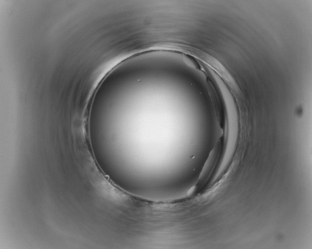 X0000092080908200709121442