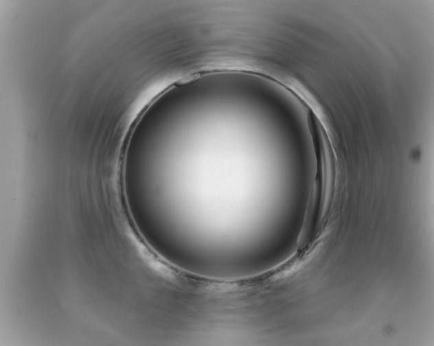 X0000092080909200709121442