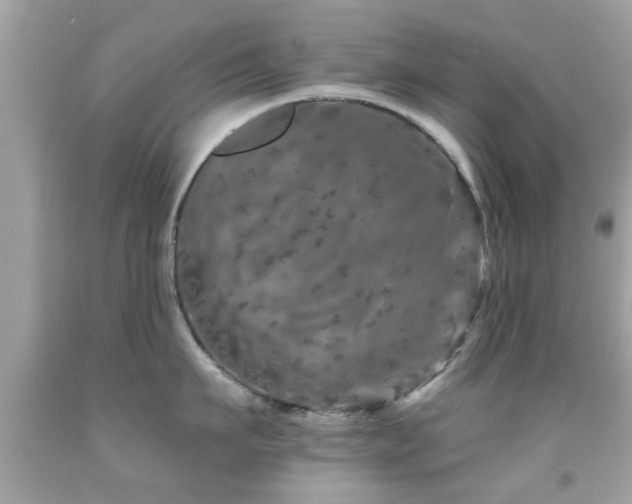 X0000092080911200709121442