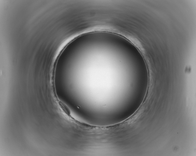 X0000092080912200709121442