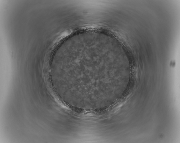 X0000092080913200709121441