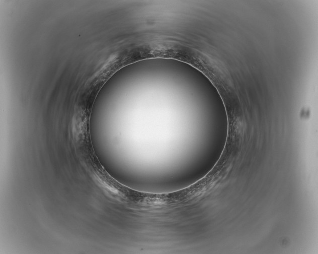 X0000092080914200709121441