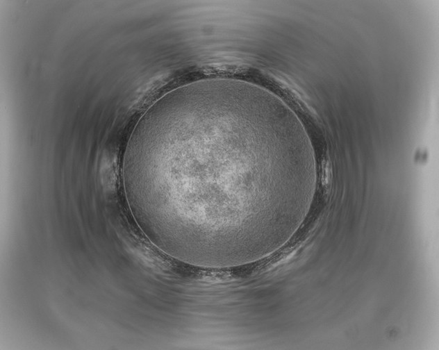 X0000092080915200709121441