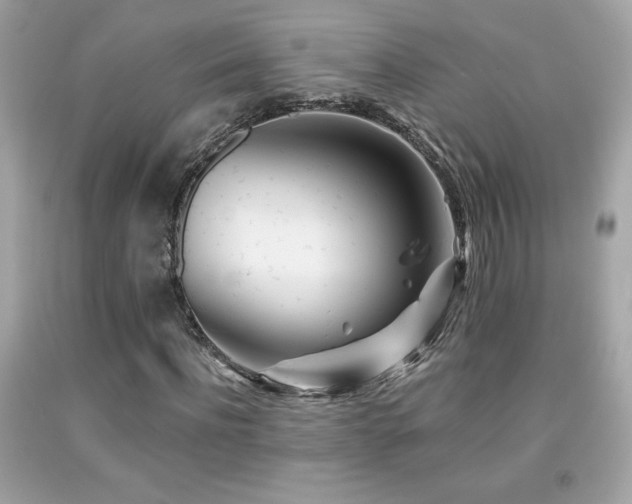 X0000092080916200709121441