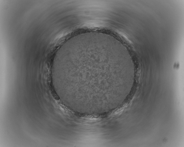 X0000092080917200709121441