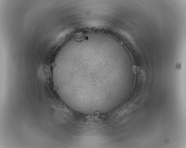 X0000092080918200709121441