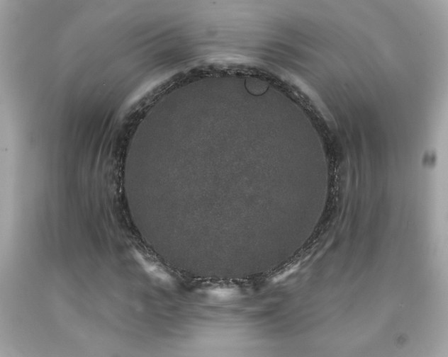 X0000092080919200709121441