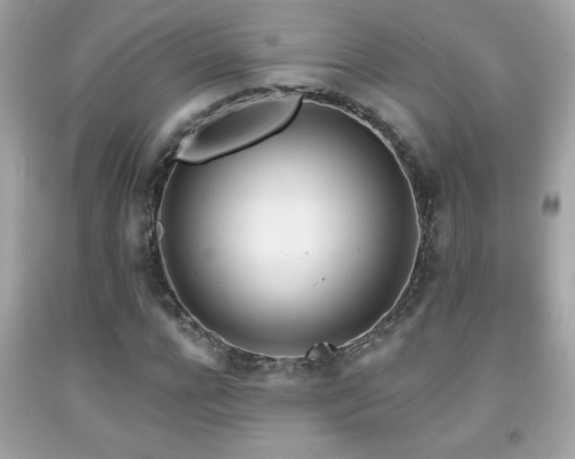 X0000092080920200709121441