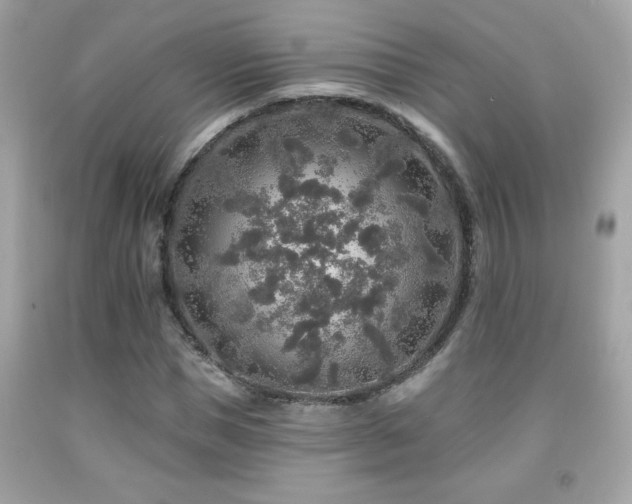 X0000092080921200709121441