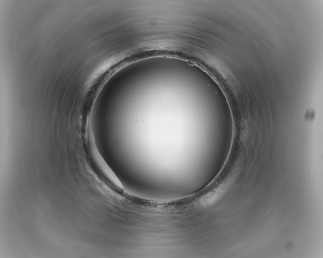 X0000092080922200709121441