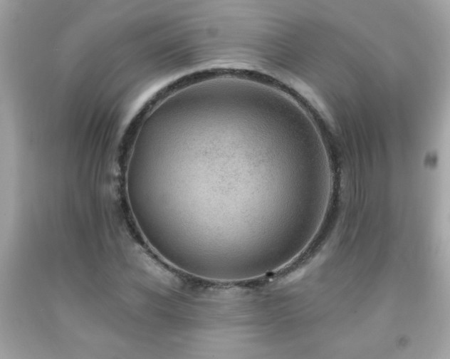 X0000092080926200709121441