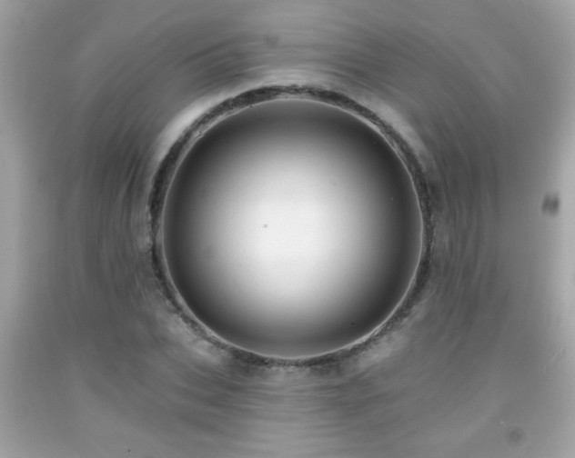 X0000092080927200709121441