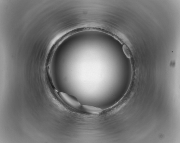 X0000092080928200709121441