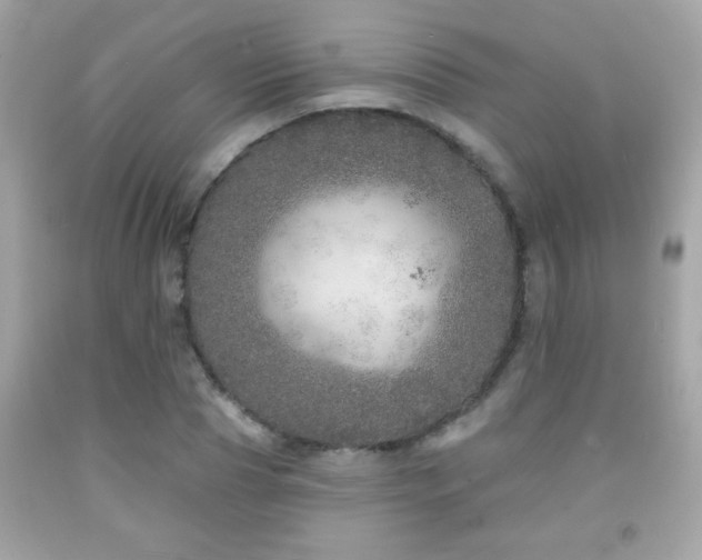 X0000092080929200709121441