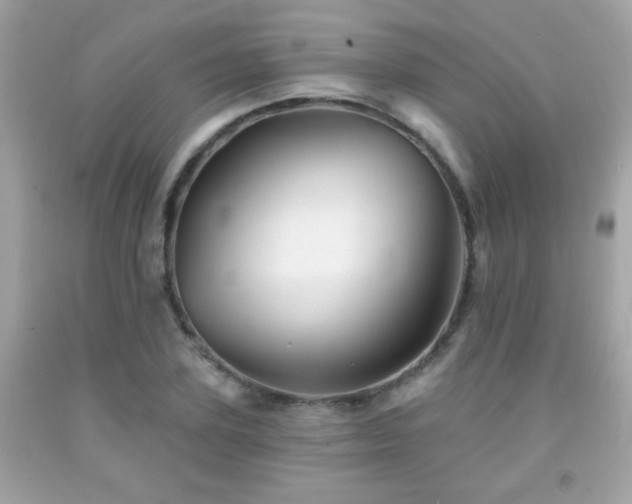 X0000092080931200709121441